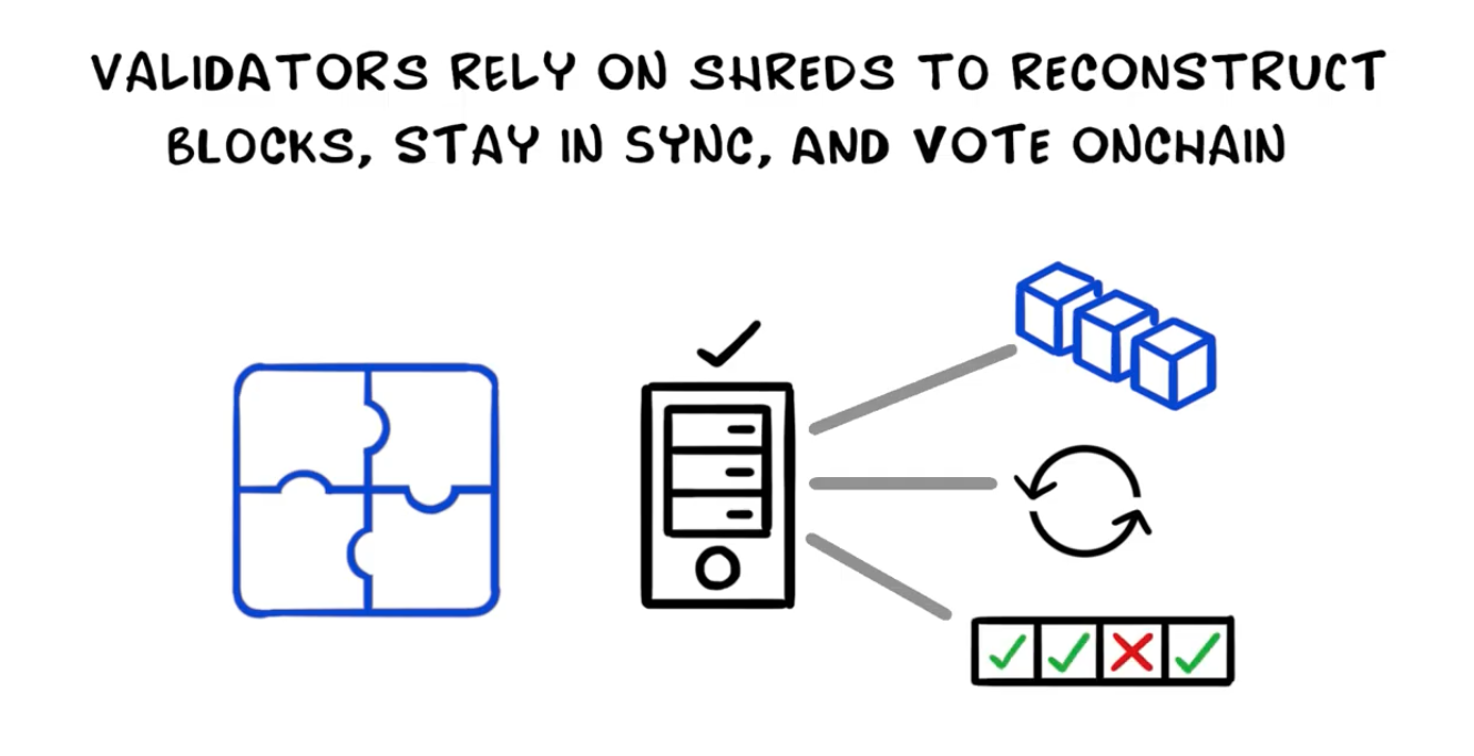 Validators rely on shreds to reconstruct blocks, stay in sync, and vote onchain